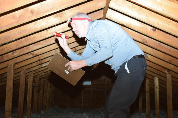 Attic Inspection In A Home